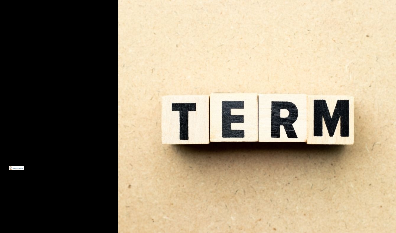 how much does term life insurance cost